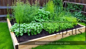 Avoid These Common Raised Bed Mistakes