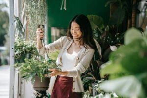 Hardiness Zones for Gardening Success